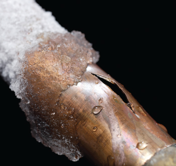 FROSTEX ANTIFREEZE